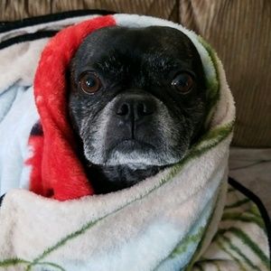 Meet your Posher, Carly